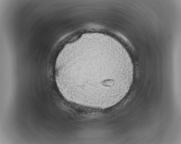 X0000111051112200907231550