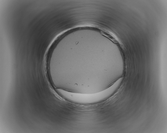 X0000111051116200907231550