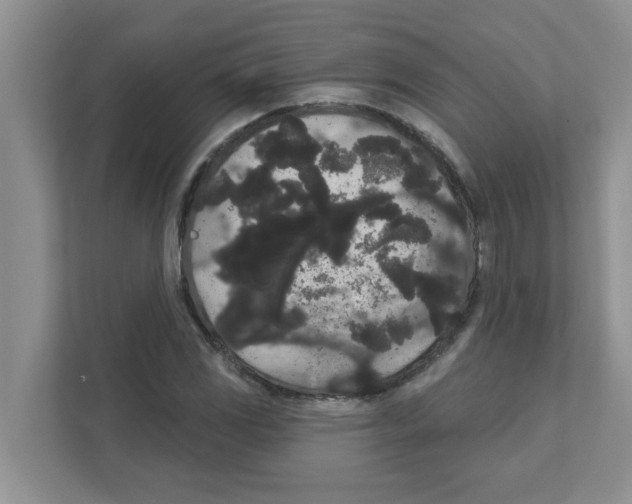 X0000111051117200907231550