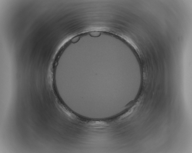 X0000111051119200907231550