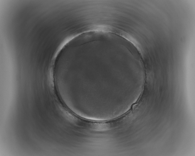 X0000111051120200907231550