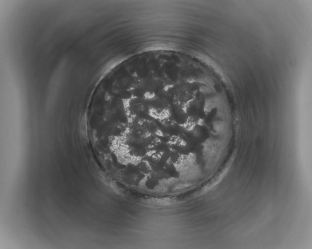 X0000111051121200907231550