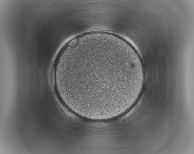 X0000111051123200907231550