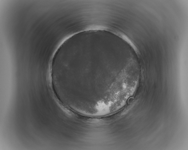 X0000111051124200907231550