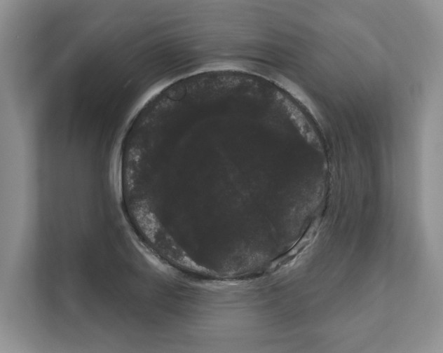 X0000111051127200907231550