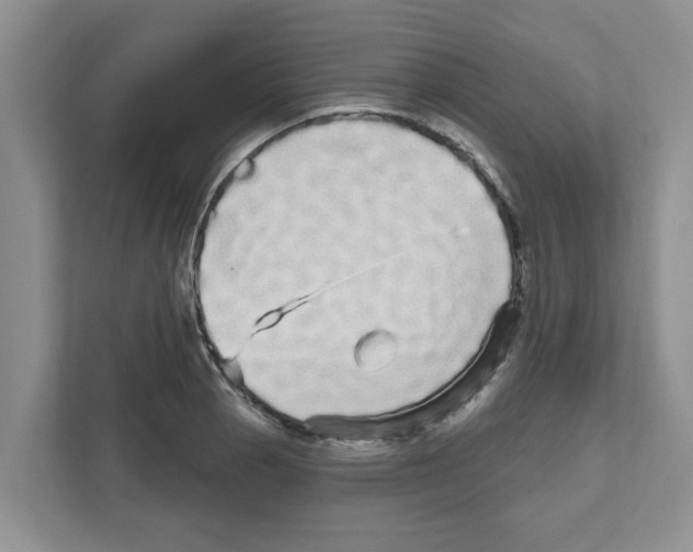 X0000111051129200907231550