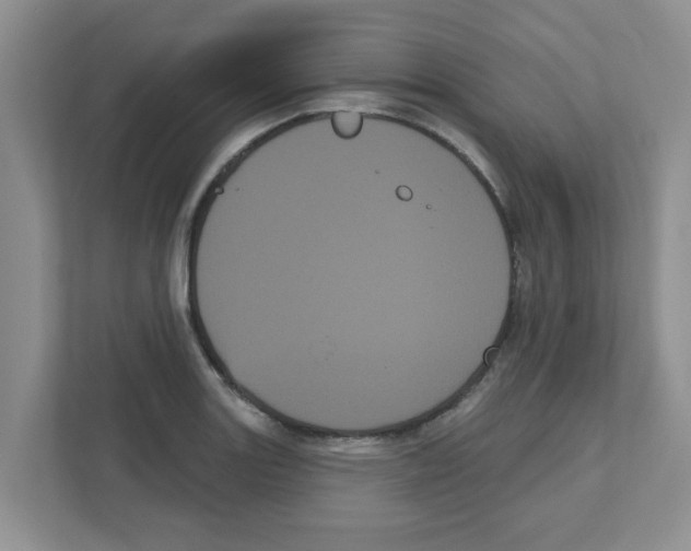 X0000111051131200907231550