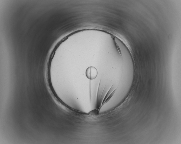 X0000111051136200907231550