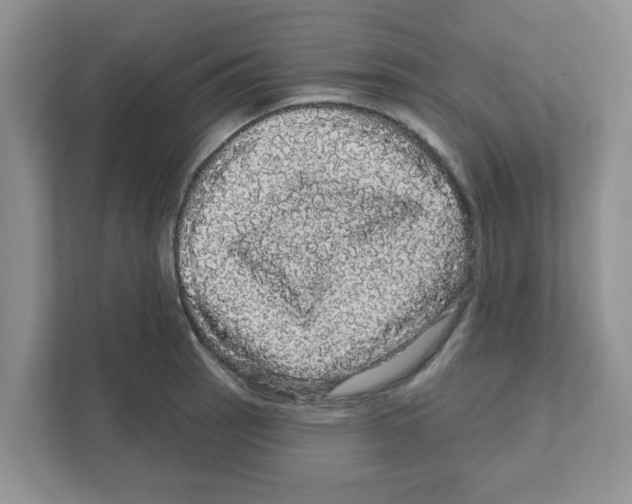 X0000111051137200907231550