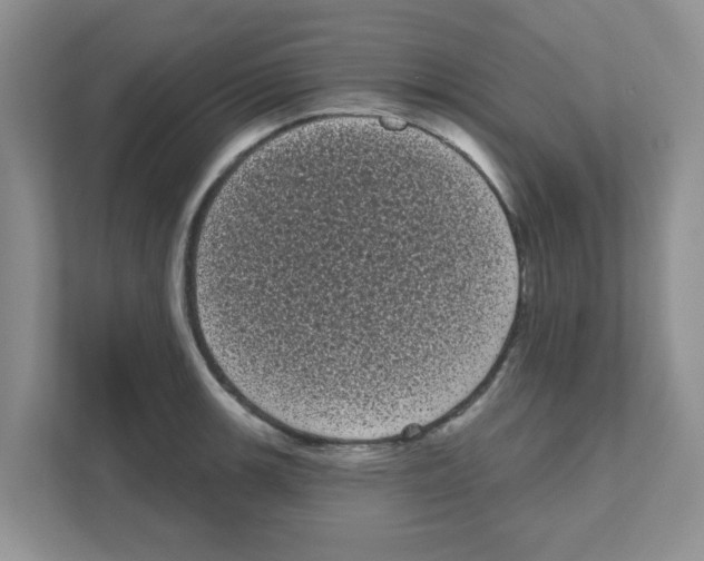 X0000111051139200907231550