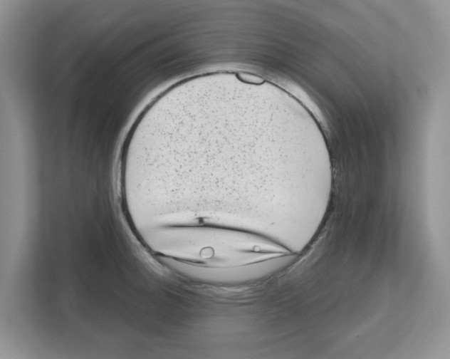 X0000111051140200907231551