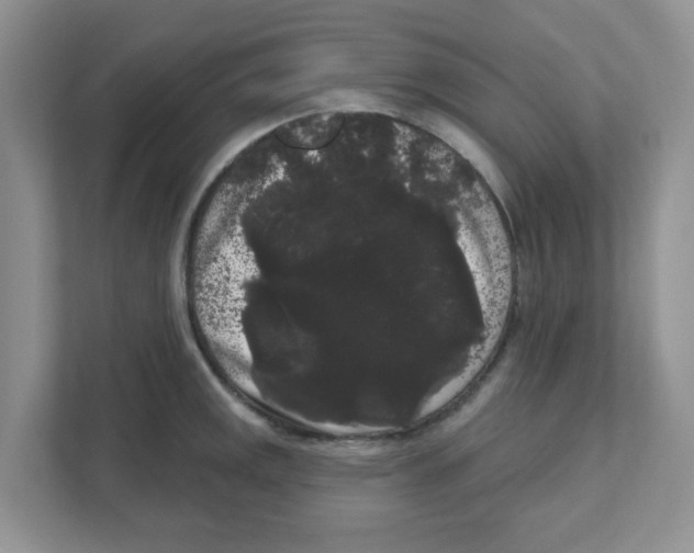 X0000111051141200907231551