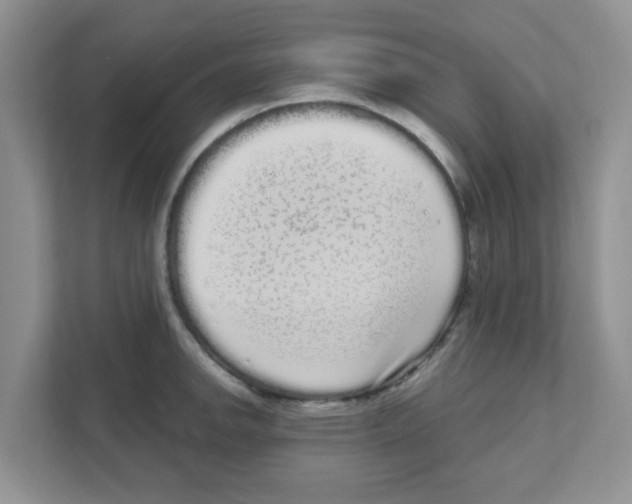 X0000111051142200907231551