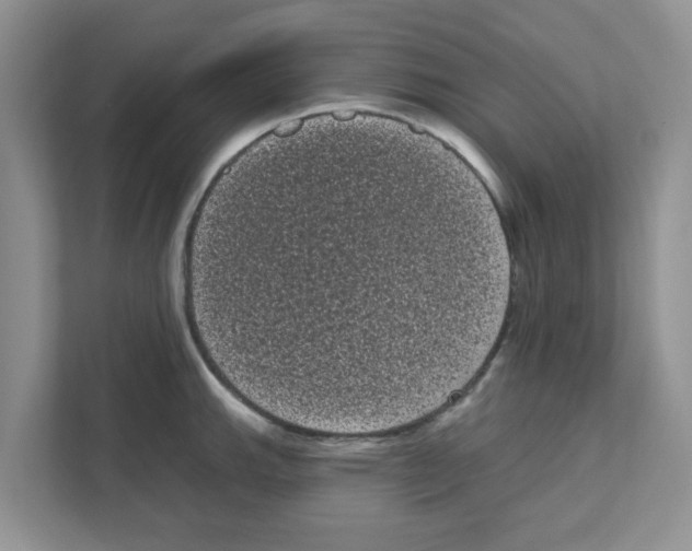 X0000111051143200907231551