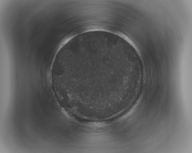 X0000111051145200907231551