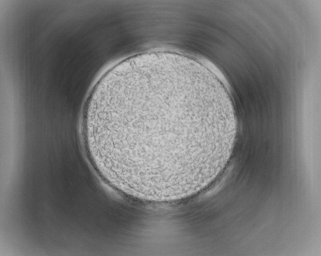 X0000111051149200907231551