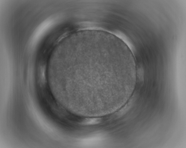 X0000111051150200907231551