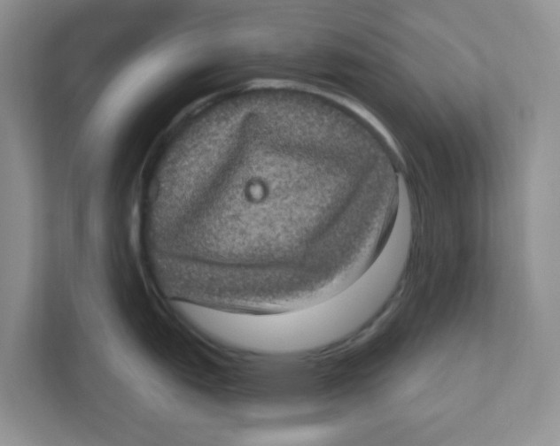 X0000111051151200907231551