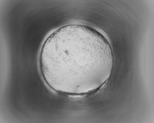 X0000111051152200907231551