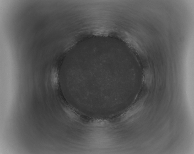 X0000111051154200907231550