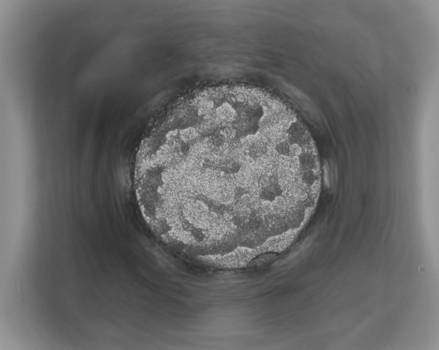 X0000111051155200907231550