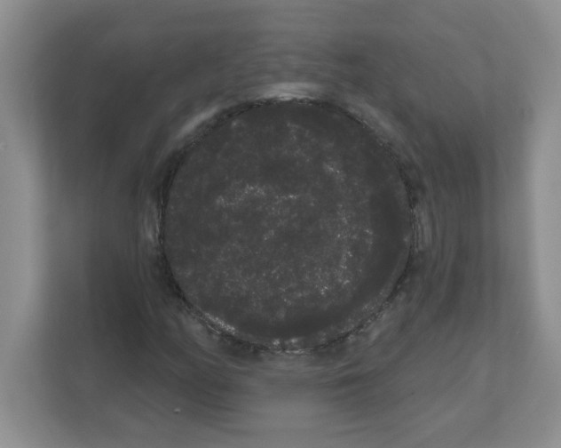 X0000111051158200907231550