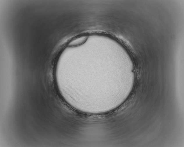 X0000111051159200907231550