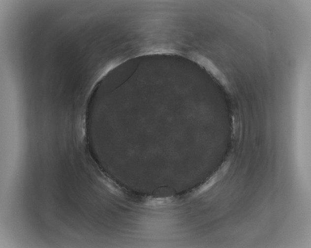 X0000111051165200907231550