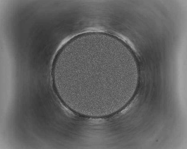 X0000111051168200907231550