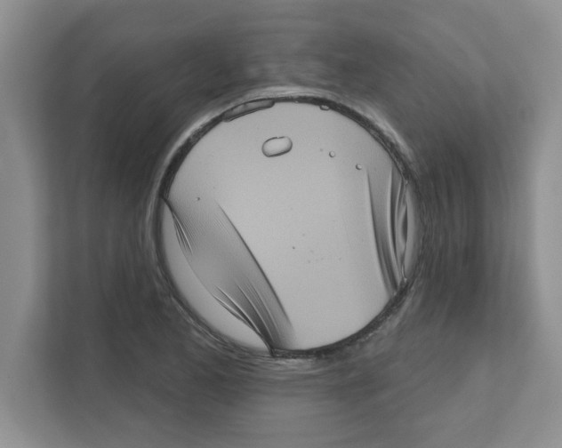 X0000111051173200907231550