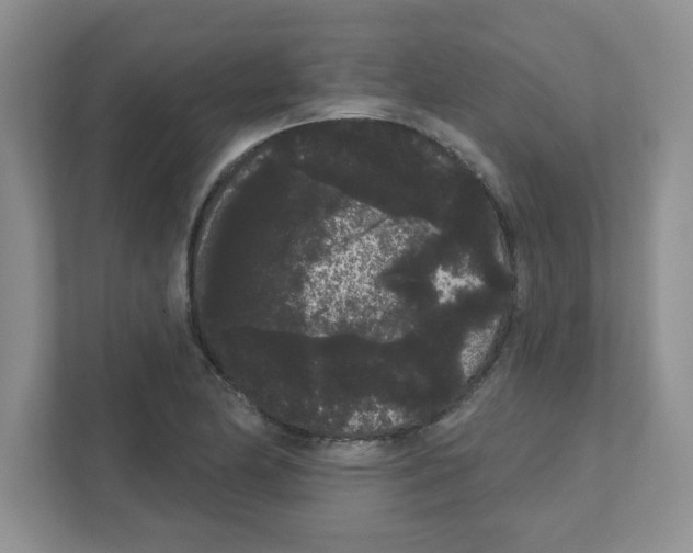 X0000111051174200907231550