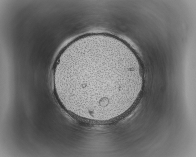 X0000111051175200907231550