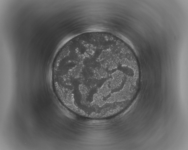 X0000111051179200907231550