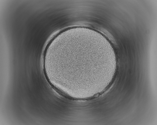 X0000111051180200907231550