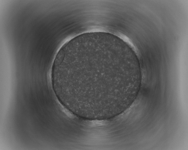 X0000111051181200907231550