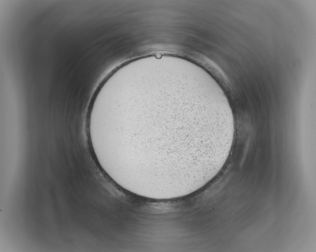 X0000111051182200907231550