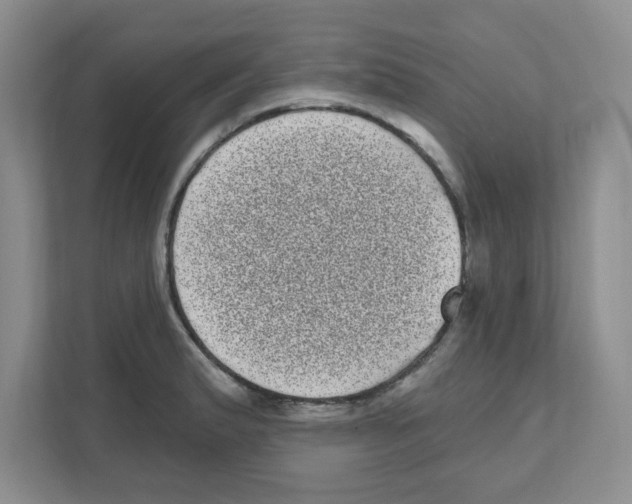 X0000111051183200907231550