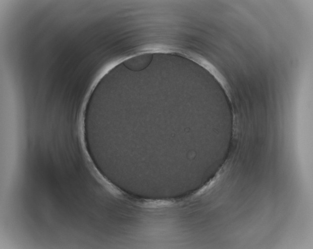 X0000111051187200907231550