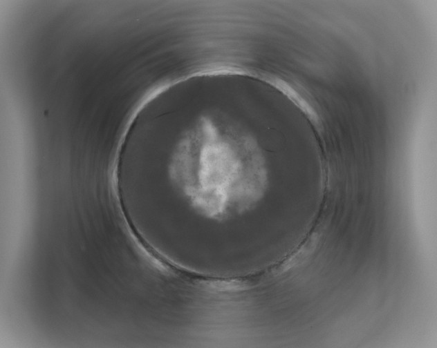 X0000111051189200907231550