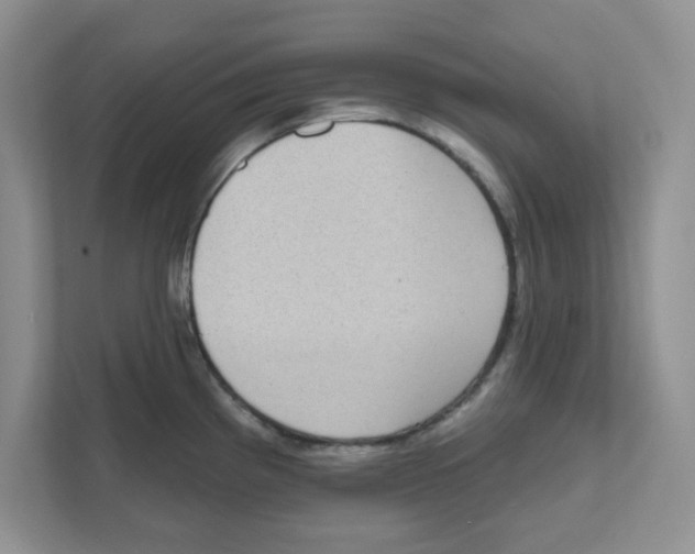 X0000111051193200907231550