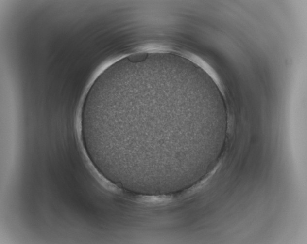 X0000111051195200907231549