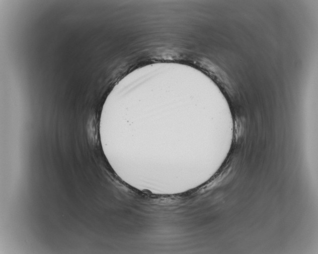 X0000111051202200907231549