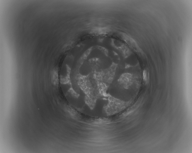 X0000111051203200907231549