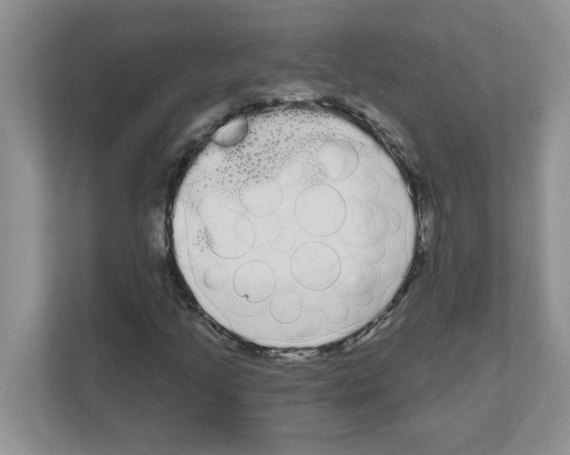 X0000111051205200907231549