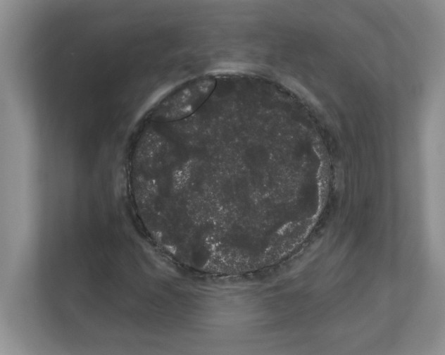 X0000111051208200907231549