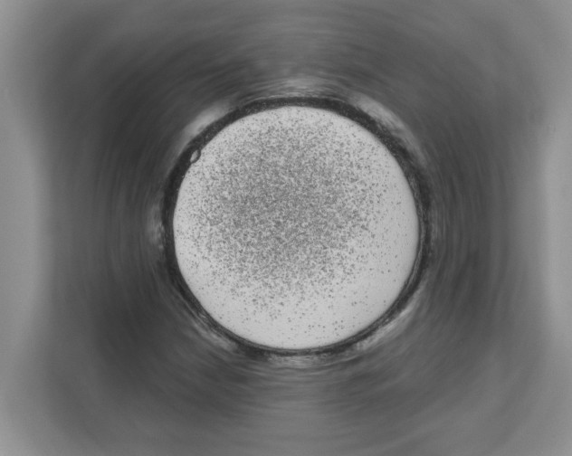 X0000111051210200907231549