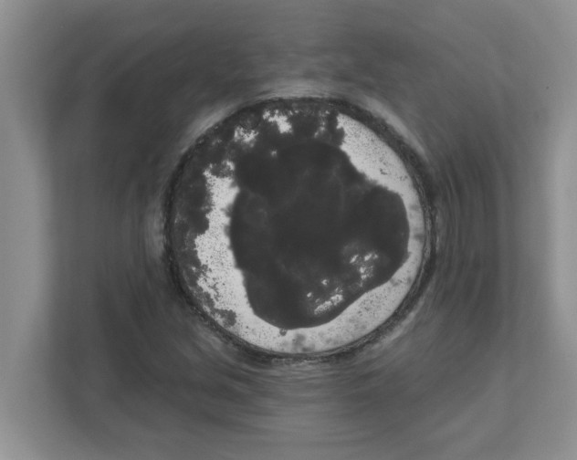 X0000111051213200907231549