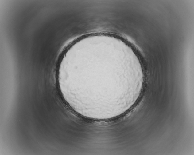 X0000111051214200907231549