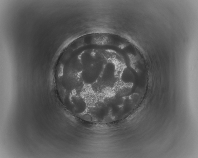 X0000111051215200907231549