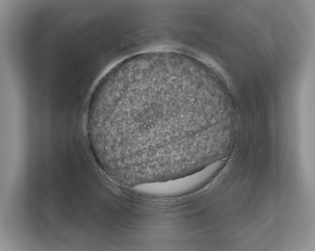 X0000111051216200907231549